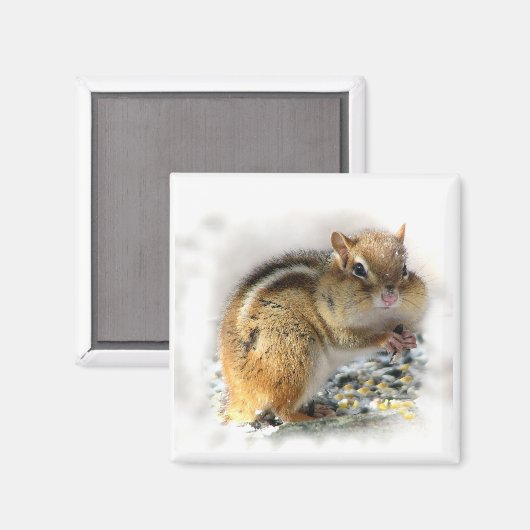 Chipmunk Magnet (Vorderseite/Rückseite)