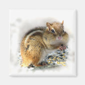Chipmunk Magnet (Vorne)