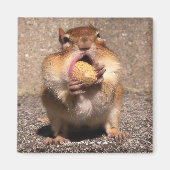 Chipmunk - Magnet (Vorne)