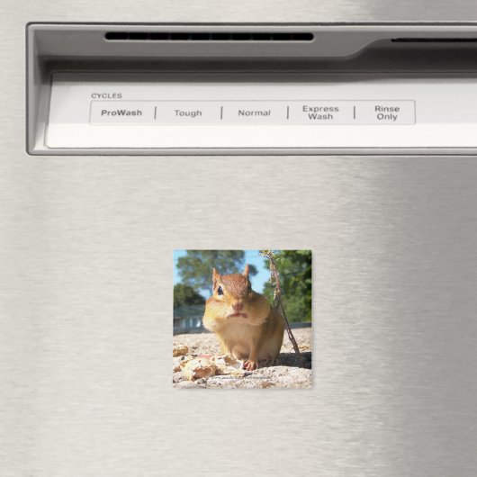 Chipmunk - Magnet (In Situ (Geschirrspüler))