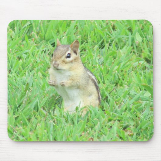 Chipmunk-Mausunterlage Mousepad (Vorne)