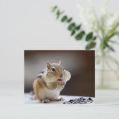 Chipmunk mit Cheeks Full Foto Postkarte (Stehend Vorderseite)
