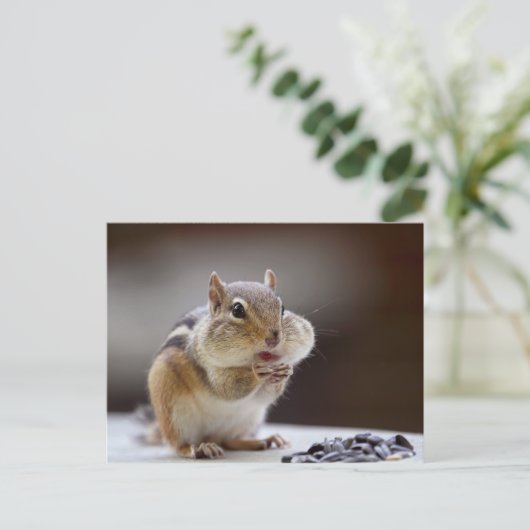 Chipmunk mit Cheeks Full Foto Postkarte (Stehend Vorderseite)