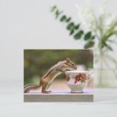 Chipmunk mit China Teacup Postkarte (Stehend Vorderseite)