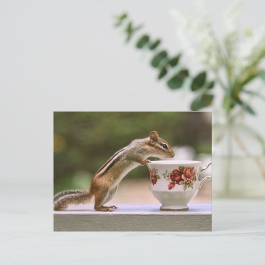 Chipmunk mit China Teacup Postkarte (Stehend Vorderseite)