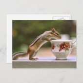 Chipmunk mit China Teacup Postkarte (Vorne/Hinten)