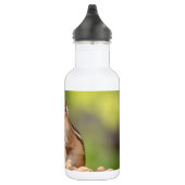 Chipmunk mit Erdnüssen Edelstahlflasche (Rechts)