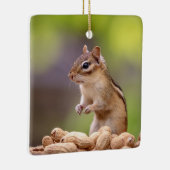 Chipmunk mit Erdnüssen Keramikornament (Rechts)