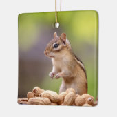 Chipmunk mit Erdnüssen Keramikornament (Links)