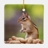 Chipmunk mit Erdnüssen Keramikornament (Rückseite)