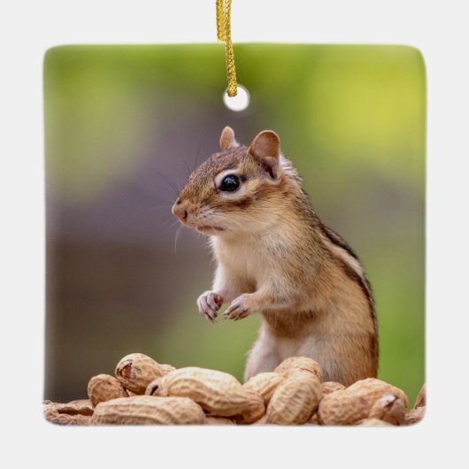 Chipmunk mit Erdnüssen Keramikornament (Vorderseite)
