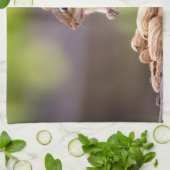 Chipmunk mit Erdnüssen Küchentuch (Gefaltet)