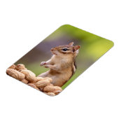 Chipmunk mit Erdnüssen Magnet (Linke Seite)
