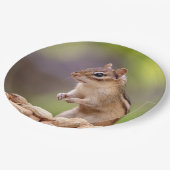 Chipmunk mit Erdnüssen Pappteller (Schrägansicht)