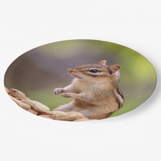Chipmunk mit Erdnüssen Pappteller (Schrägansicht)