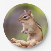 Chipmunk mit Erdnüssen Pappteller (Vorderseite)