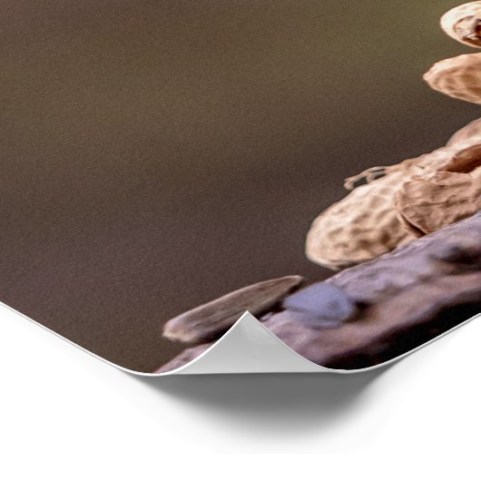 Chipmunk mit Erdnüssen Poster (Ecke)