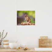 Chipmunk mit Erdnüssen Poster (Küche)