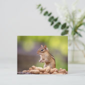 Chipmunk mit Erdnüssen Postkarte (Stehend Vorderseite)