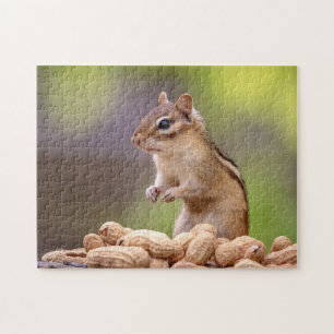 Chipmunk mit Erdnüssen Puzzle