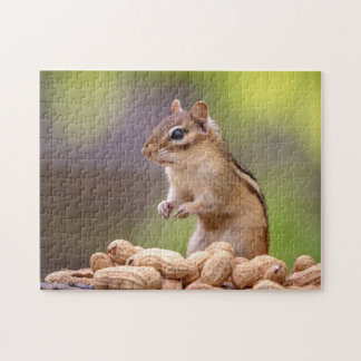 Chipmunk mit Erdnüssen Puzzle