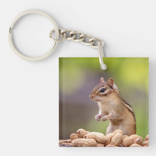Chipmunk mit Erdnüssen Schlüsselanhänger (Vorderseite)
