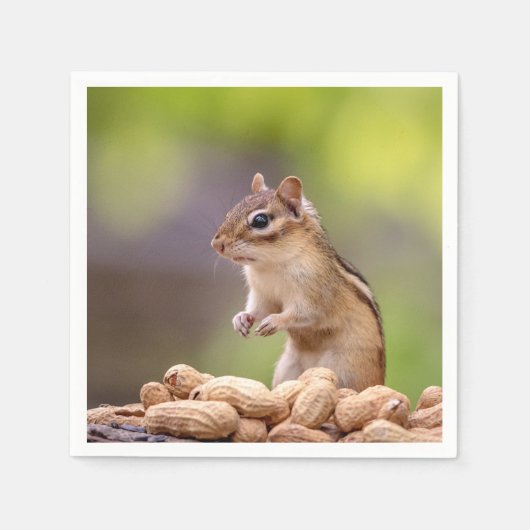 Chipmunk mit Erdnüssen Serviette (Vorderseite)