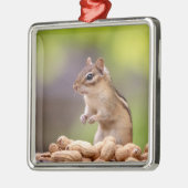 Chipmunk mit Erdnüssen Silbernes Ornament (Links)