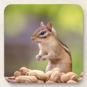 Chipmunk mit Erdnüssen Untersetzer (Vorderseite)