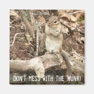 Chipmunk mit Haltung Magnet