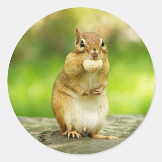 Chipmunk mit Leckerei Runder Aufkleber (Vorderseite)