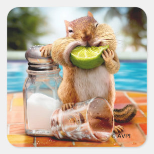 Chipmunk mit Limon Quadratischer Aufkleber