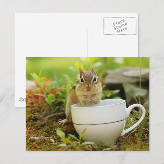 Chipmunk mit Teacup Postkarte (Vorne/Hinten)