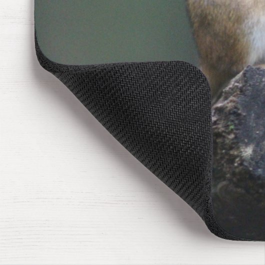 Chipmunk Mousepad (Ecke)