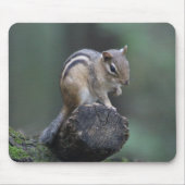 Chipmunk Mousepad (Vorne)