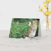 Chipmunk Notecard Karte (Gelbe Blume)
