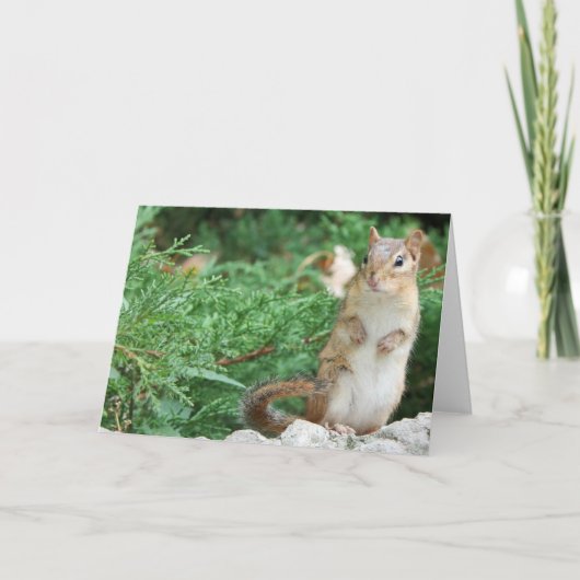 Chipmunk Notecard Karte (Vorderseite)