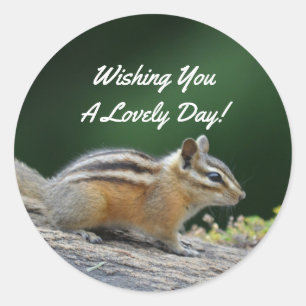 Chipmunk-On-Log Runder Aufkleber