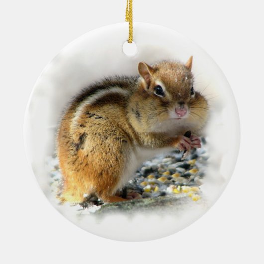 Chipmunk Ornament (Hinten)