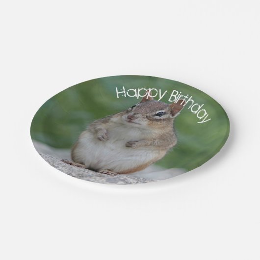 Chipmunk Pappteller (Schrägansicht)