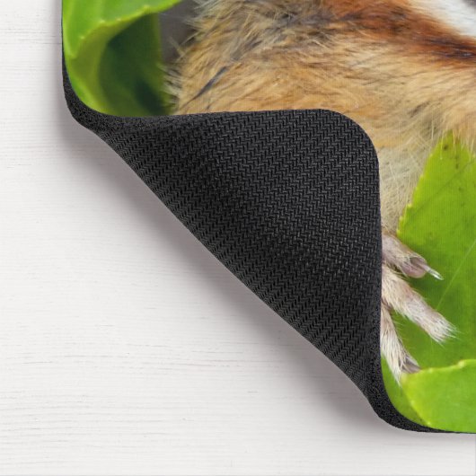 Chipmunk photo　(20-1) mousepad (Ecke)