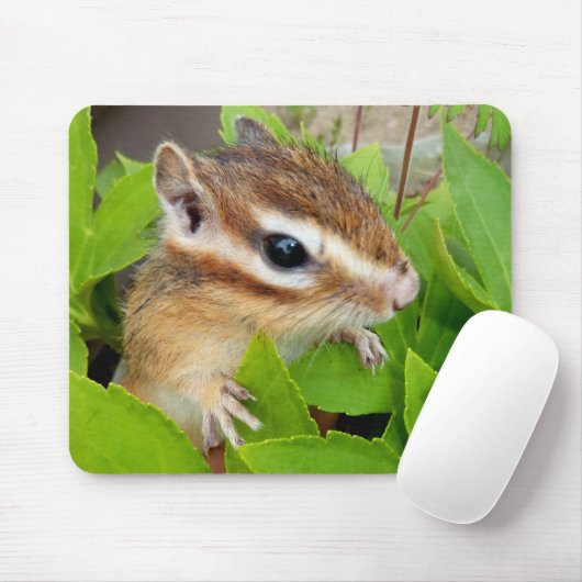 Chipmunk photo　(20-1) mousepad (Mit Mouse)