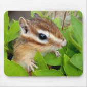 Chipmunk photo　(20-1) mousepad (Vorne)