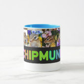 Chipmunk photo (29) tasse (Zentrum)