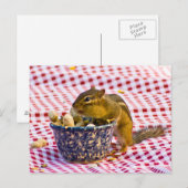 Chipmunk Picnic Postkarte (Vorne/Hinten)