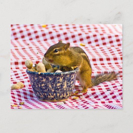 Chipmunk Picnic Postkarte (Vorderseite)