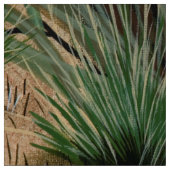 Chipmunk Pine Cone Fabric Stoff (Muster)