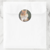 Chipmunk-Portrait mit vollen Wangen Runder Aufkleber (Tasche)