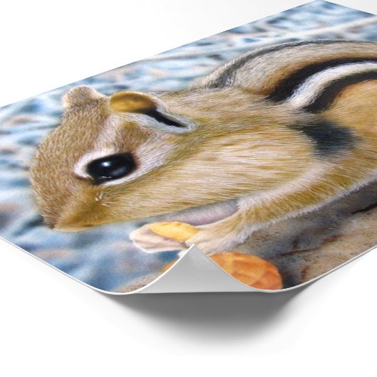 Chipmunk Poster (Ecke)