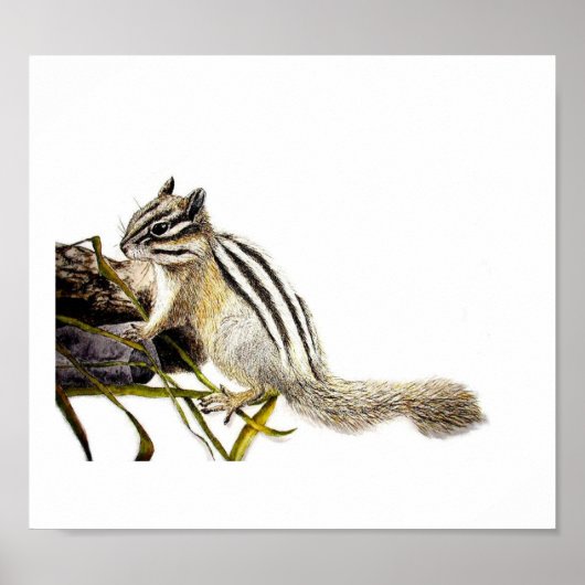 Chipmunk Poster (Vorne)